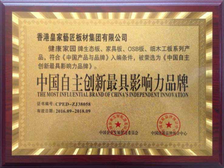中国自主创新最具影响力品牌.jpg